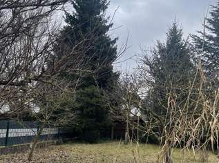 Liebhaberobjekt mit Keller im Herzen von Langholzfeld!, 0 €, Immobilien-Häuser in 4061 Pasching