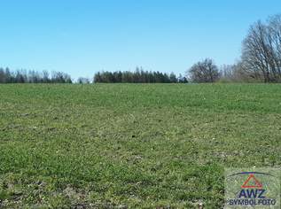 RESERVIERT - Schöner, optimaler Acker mit ca. 3.5 ha zu verkaufen, 0 €, Immobilien-Grund und Boden in 4723 Natternbach