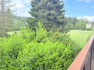 Elegante Stadtvilla auf zwei Ebenen – Hallenbad, Privatgarten & Garage inklusive | ZELLMANN IMMOBILIEN, 990000 €, Immobilien-Wohnungen in 1230 Liesing