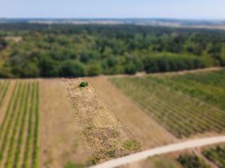 Landwirtschaftliches Grundstück in der KG Groß-Schweinbarth - 1611m2, 9666 €, Immobilien-Gewerbeobjekte in 2221 Groß-Schweinbarth Landwirtschaftliches Grundstück in der KG Groß-Schweinbarth - 1611m2, 9666 €, Immobilien-Gewerbeobjekte in 2221 Groß-Schweinbarth