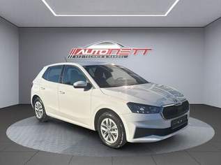 Fabia Ambition, 13699 €, Auto & Fahrrad-Autos in 4600 Wels