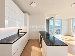 DANUBE PANORAMA: Urban Living on Level 22 in Vienna 22, 3500 €, Immobilien-Wohnungen in 1220 Donaustadt DANUBE PANORAMA: Urban Living on Level 22 in Vienna 22, 3500 €, Immobilien-Wohnungen in 1220 Donaustadt