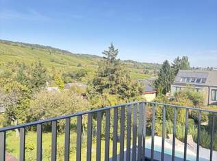 Erstbezug Einfamilienhaus zu vermieten mit Blick auf Weinberge, 5816.25 €, Immobilien-Häuser in 1190 Döbling