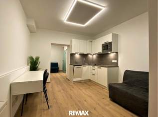 Kleinwohnung auch gewerblich nutzbar, 847 €, Immobilien-Wohnungen in 1030 Landstraße