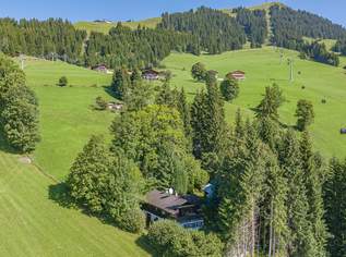 Berghütte in unverbaubarer Alleinlage - touristisch vermietbar, 1350000 €, Immobilien-Häuser in 6361 Marktgemeinde Hopfgarten im Brixental