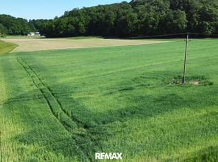 Sonniges Grundstück in Alleinlage, 109350 €, Immobilien-Grund und Boden in 5133 Gilgenberg am Weilhart