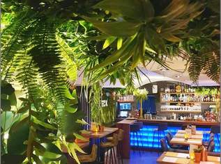 Beliebtes Gastronomieobjekt - Cafe / Pub / Bar "Holifuk" in Saalfelden zu verpachten, 0 €, Immobilien-Gewerbeobjekte in 5760 Saalfelden am Steinernen Meer