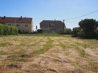 Hier beginnt Ihr Wohntraum – 849 m² Baugrund in Langenstein, 199000 €, Immobilien-Grund und Boden in 4222 Langenstein Hier beginnt Ihr Wohntraum – 849 m² Baugrund in Langenstein, 199000 €, Immobilien-Grund und Boden in 4222 Langenstein