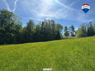 Attraktives Baugrundstück in idyllischer Waldrandlage | Am Sommerberg, Aschach an der Donau | Ohne Bauzwang, 127000 €, Immobilien-Grund und Boden in 4082 Aschach an der Donau Attraktives Baugrundstück in idyllischer Waldrandlage | Am Sommerberg, Aschach an der Donau | Ohne Bauzwang, 127000 €, Immobilien-Grund und Boden in 4082 Aschach an der Donau