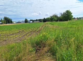 Oberwart: Betriebsbaugrund am Stadtrand!, 359100 €, Immobilien-Gewerbeobjekte in 7400 Oberwart