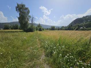 • Millstätter See | 4.989 m² Entwicklungsgrundstück für Tourismus & Wohnbau – Erweiterbar auf über 20.000 m², 0 €, Immobilien-Grund und Boden in 9873 Döbriach • Millstätter See | 4.989 m² Entwicklungsgrundstück für Tourismus & Wohnbau – Erweiterbar auf über 20.000 m², 0 €, Immobilien-Grund und Boden in 9873 Döbriach