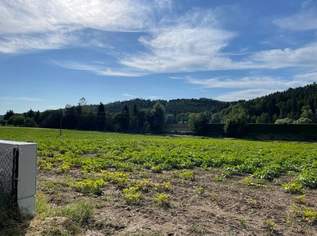 Baugrundstück mit Grünlandanteil für Projektentwickler, 420000 €, Immobilien-Grund und Boden in 8200 Laßnitzthal Baugrundstück mit Grünlandanteil für Projektentwickler, 420000 €, Immobilien-Grund und Boden in 8200 Laßnitzthal