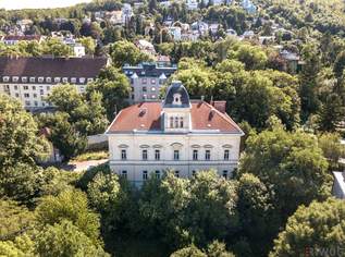WIENTALBLICK | Lichtdurchflutete Wohnung in der historischen Villa Seutter mit 4,4m Raumhöhe & Blick auf denkmalgeschützte Linde | sanierungsbedürftig, 550000 €, Immobilien-Wohnungen in 1130 Hietzing