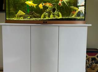 Aquarium Komplettset, 350 €, Marktplatz-Tiere & Tierbedarf in 3034 Maria Anzbach Aquarium Komplettset, 350 €, Marktplatz-Tiere & Tierbedarf in 3034 Maria Anzbach