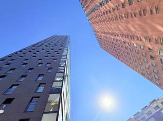 „Wohnen mit Weitblick: Barrierefreie Wohnung im 11. Stock mit Loggia und Stellplatz“, 1255.95 €, Immobilien-Wohnungen in 1100 Favoriten