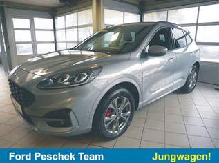 Kuga 2,5 Duratec FHEV AWD ST-Line X Aut., 34000 €, Auto & Fahrrad-Autos in 2512 Katastralgemeinde Tribuswinkel Kuga 2,5 Duratec FHEV AWD ST-Line X Aut., 34000 €, Auto & Fahrrad-Autos in 2512 Katastralgemeinde Tribuswinkel