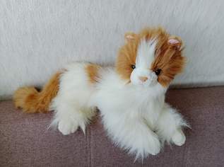 Stofftier Katze ca 40cm, FIXPREIS 20€ /NUR SELBSTABHOLUNG, 23 Bezirk , KEIN Versand! ! ! ! ! ! , 20 €, Kindersachen-Spielzeug in 1230 Liesing Stofftier Katze ca 40cm, FIXPREIS 20€ /NUR SELBSTABHOLUNG, 23 Bezirk , KEIN Versand! ! ! ! ! ! , 20 €, Kindersachen-Spielzeug in 1230 Liesing