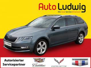 Octavia Combi 1,6 TDI Style Limited*NAVI*LED*PDC*SHZ*TE..., 10980 €, Auto & Fahrrad-Autos in 1230 Liesing Octavia Combi 1,6 TDI Style Limited*NAVI*LED*PDC*SHZ*TE..., 10980 €, Auto & Fahrrad-Autos in 1230 Liesing