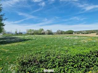Grundstück für Sport oder Camping direkt neben dem See und Freizeitpark., 590000 €, Immobilien-Grund und Boden in 8265 Großsteinbach Grundstück für Sport oder Camping direkt neben dem See und Freizeitpark., 590000 €, Immobilien-Grund und Boden in 8265 Großsteinbach