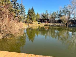 "Naturparadies mit eigenem Teich!", 299000 €, Immobilien-Gewerbeobjekte in 2353 Gemeinde Guntramsdorf