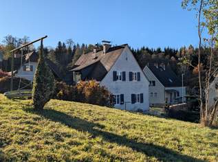 Liebevoll saniertes Einfamilienhaus in Ruhelage m. Doppelgarage - wartet auf Ihren Einzug, 268000 €, Immobilien-Häuser in 8582 Rosental an der Kainach