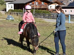 Verkaufe Pony Hengst Verkaufe Pony Hengst