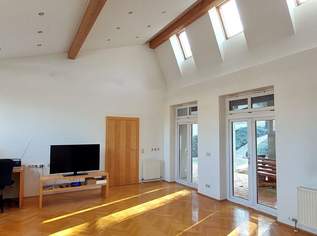 Designerhaus mit Garage & Garten, 156m² Wohnfläche, 449900 €, Immobilien-Häuser in 2473 Gemeinde Potzneusiedl