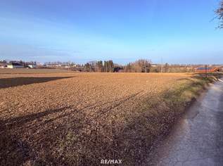 Betriebsbaugrund in attraktivster Lage!, 2958 €, Immobilien-Gewerbeobjekte in 4551 Ried im Traunkreis Betriebsbaugrund in attraktivster Lage!, 2958 €, Immobilien-Gewerbeobjekte in 4551 Ried im Traunkreis