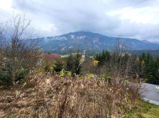 vielleicht der ideale Baugrund für ihr Eigenheim, 85000 €, Immobilien-Grund und Boden in 8785 Hohentauern vielleicht der ideale Baugrund für ihr Eigenheim, 85000 €, Immobilien-Grund und Boden in 8785 Hohentauern