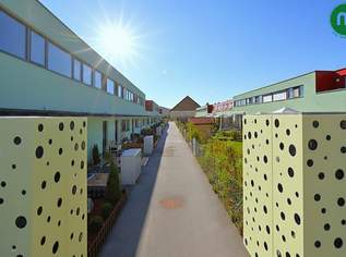 Reihenhaus mit Terrasse, Pool und Keller in Breitenleer Ruhelage, 389000 €, Immobilien-Häuser in 1220 Donaustadt