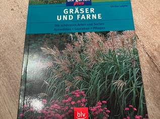 Gräser und Farne, 1 €, Marktplatz-Bücher & Bildbände in 4673 Gaspoltshofen Gräser und Farne, 1 €, Marktplatz-Bücher & Bildbände in 4673 Gaspoltshofen