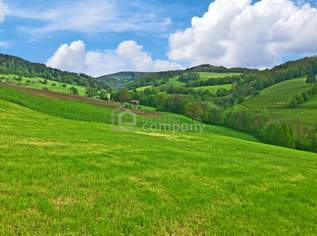 Ihr Traumhaus für nur 439.000 Fixpreis - sofort beziebar - Neubaustandard !!!, 439000 €, Immobilien-Häuser in 2534 Katastralgemeinde Alland