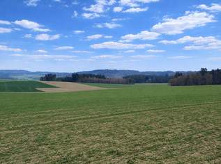 Liegenschaft mit ca. 20 ha landwirtschaftliche Nutzflächen, 0 €, Immobilien-Gewerbeobjekte in 4762 Sankt Willibald