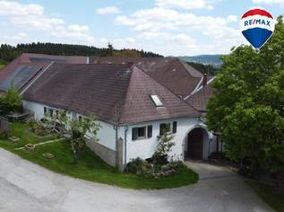 Absolute Rarität! Traditionsgasthaus Brunngraber!, 1000000 €, Immobilien-Häuser in 4240 Waldburg