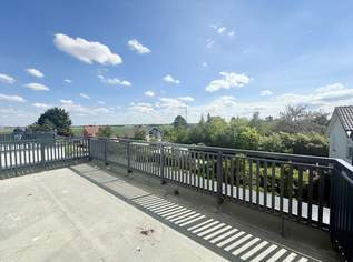 ERSTBEZUG - Familienglück in Essling – Ihr neues Zuhause mit Garten, Terrasse & Dachterrasse, 599000 €, Immobilien-Häuser in 1220 Donaustadt ERSTBEZUG - Familienglück in Essling – Ihr neues Zuhause mit Garten, Terrasse & Dachterrasse, 599000 €, Immobilien-Häuser in 1220 Donaustadt