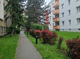 3-Zimmer-Eigentumswohnung nähe U3-Station, 245000 €, Immobilien-Wohnungen in 1110 Simmering