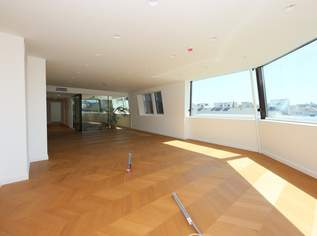 Exklusives Wohnen im Herzen Wiens - Luxuriöses Dachgeschoss mit 4 Zimmern, Garage und hochwertiger Ausstattung, 15950 €, Immobilien-Wohnungen in 1010 Innere Stadt