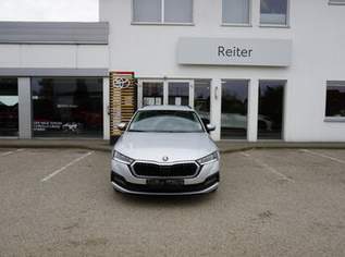 Octavia Combi 2,0 TDI DSG *LED*VIRTUAL*SHZ*, 18888 €, Auto & Fahrrad-Autos in 4600 Wels Octavia Combi 2,0 TDI DSG *LED*VIRTUAL*SHZ*, 18888 €, Auto & Fahrrad-Autos in 4600 Wels