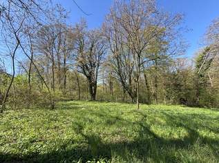 Platz für ein Einfamilien- oder Doppelhaus - Eigengrund am Ödberg in sonniger, grüner Umgebung, 475000 €, Immobilien-Grund und Boden in 3400 Gemeinde Klosterneuburg