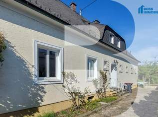 Villa Historica | großer Garten | Pool, 597000 €, Immobilien-Häuser in 4050 Traun