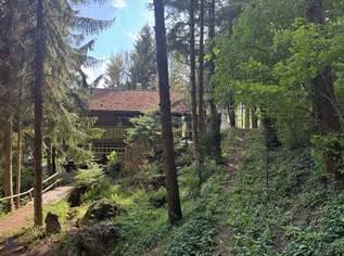 Kleines Juwel in Niederösterreich - Blockhaus mit Fischteich, 350000 €, Immobilien-Häuser in 2571 Katastralgemeinde Altenmarkt an der Triesting
