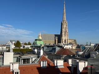 Moderne Dachgeschosswohnung (Maisonette) mit großer Dachterrasse und einzigartigem Ausblick auf den Stephansplatz, 6857.52 €, Immobilien-Wohnungen in 1010 Innere Stadt