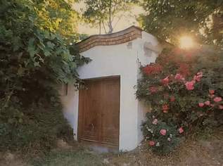 Weinkeller, 5000 €, Immobilien-Kleinobjekte & WGs in 2123 Wolfpassing an der Hochleithen