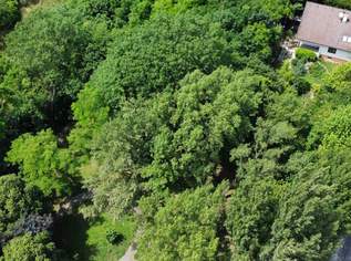 Traumhafte Grünruhelage in einer Sackgasse: Voll unterkellertes Familienhaus mit Carports, 880000 €, Immobilien-Häuser in 2371 Katastralgemeinde Hinterbrühl