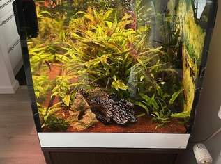 Aquarium Eheim Scubaby 270 Liter 