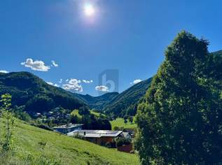 Preisreduktion! RUHE, SONNE & AUSBLICK - VOLL AUFGESCHLOSSEN OHNE BAUZWANG!, 78500 €, Immobilien-Grund und Boden in 3340 Gemeinde Waidhofen an der Ybbs Preisreduktion! RUHE, SONNE & AUSBLICK - VOLL AUFGESCHLOSSEN OHNE BAUZWANG!, 78500 €, Immobilien-Grund und Boden in 3340 Gemeinde Waidhofen an der Ybbs