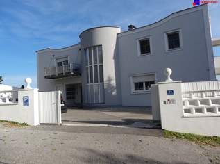 7000 Eisenstadt sehr schönes 60m2 Terrassen Apartment Top möbliert mit Seeblick in herrlicher Waldrand Ruhelage! (Provisionsfrei), 798 €, Immobilien-Wohnungen in 7000 Eisenstadt