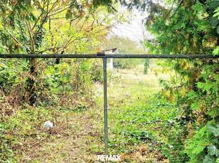 TRAUMHAUS in den Golser Weinbergen möglich!, 235000 €, Immobilien-Grund und Boden in 7122 Gols