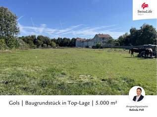 Gols | Baugrundstück in Top-Lage | 5.000 m², 1650000 €, Immobilien-Grund und Boden in 7122 Gols Gols | Baugrundstück in Top-Lage | 5.000 m², 1650000 €, Immobilien-Grund und Boden in 7122 Gols
