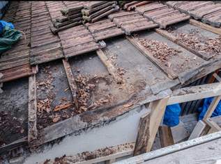 Allrounder/Garten,Dach, entrümpeln etc, Dienstleister & Stellen-Dienstleister in Österreich